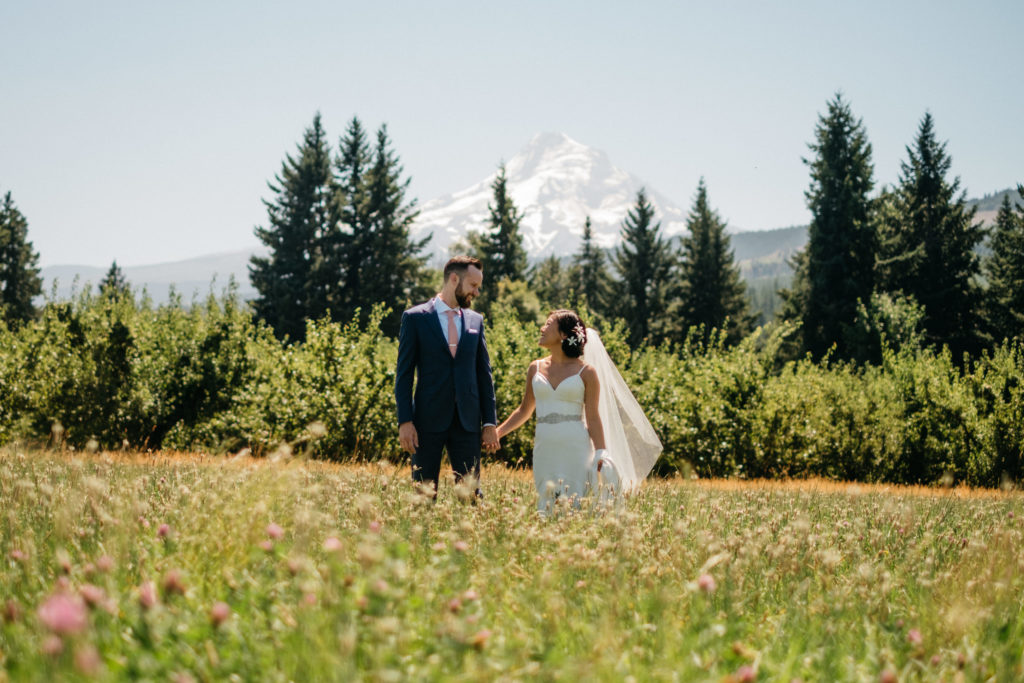 Wedding photo with Mount Hood at Mt View Orchards