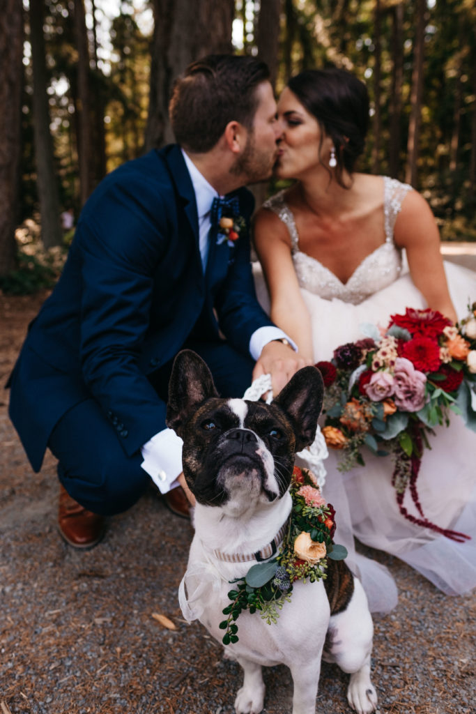 A wedding photo with the bride and grooms dog at Fireseed Catering