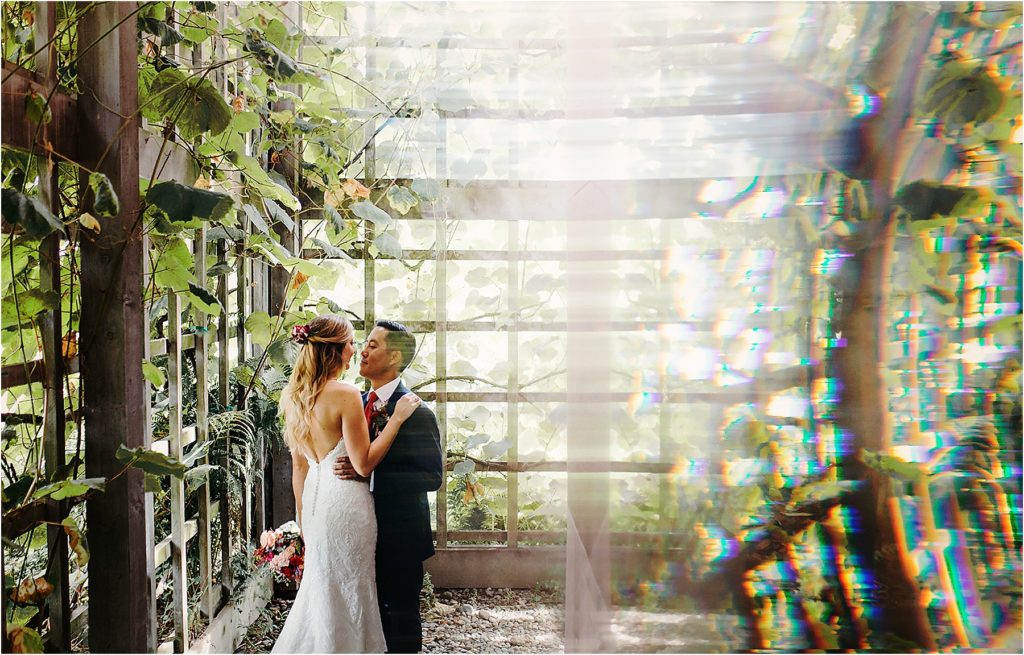 Portrait of a bride and groom at the UW Center for Urban Horticulture