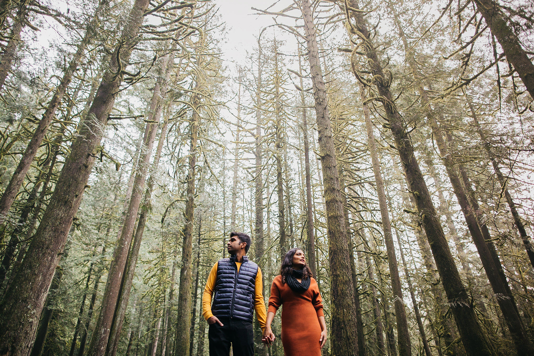 Engagement photo in the woods on Mount Hood