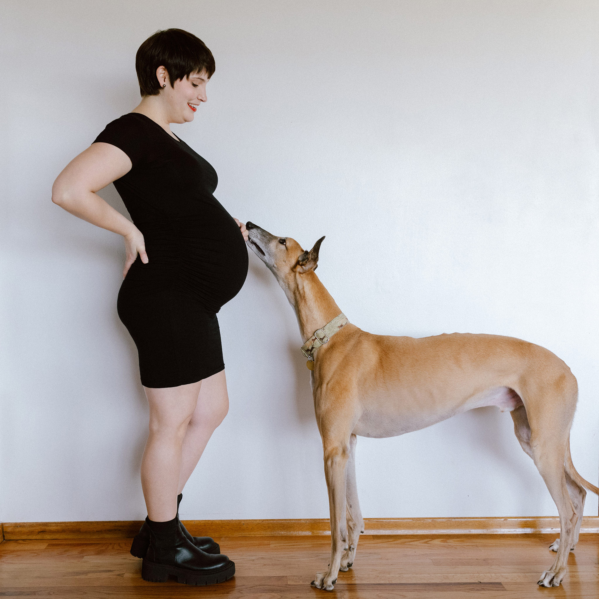 Portland maternity photos with a pet
