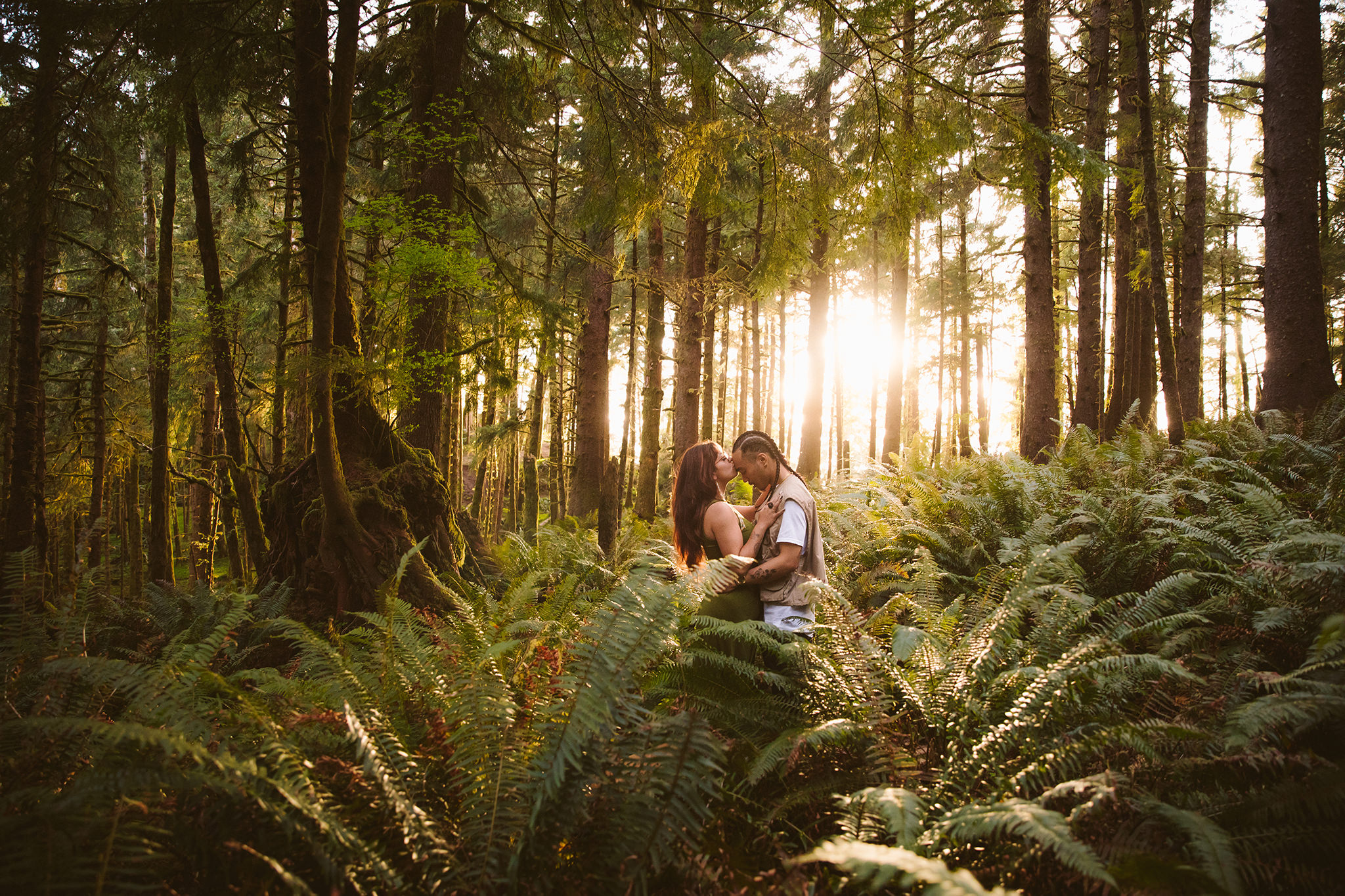 An Oregon forest proposal photo