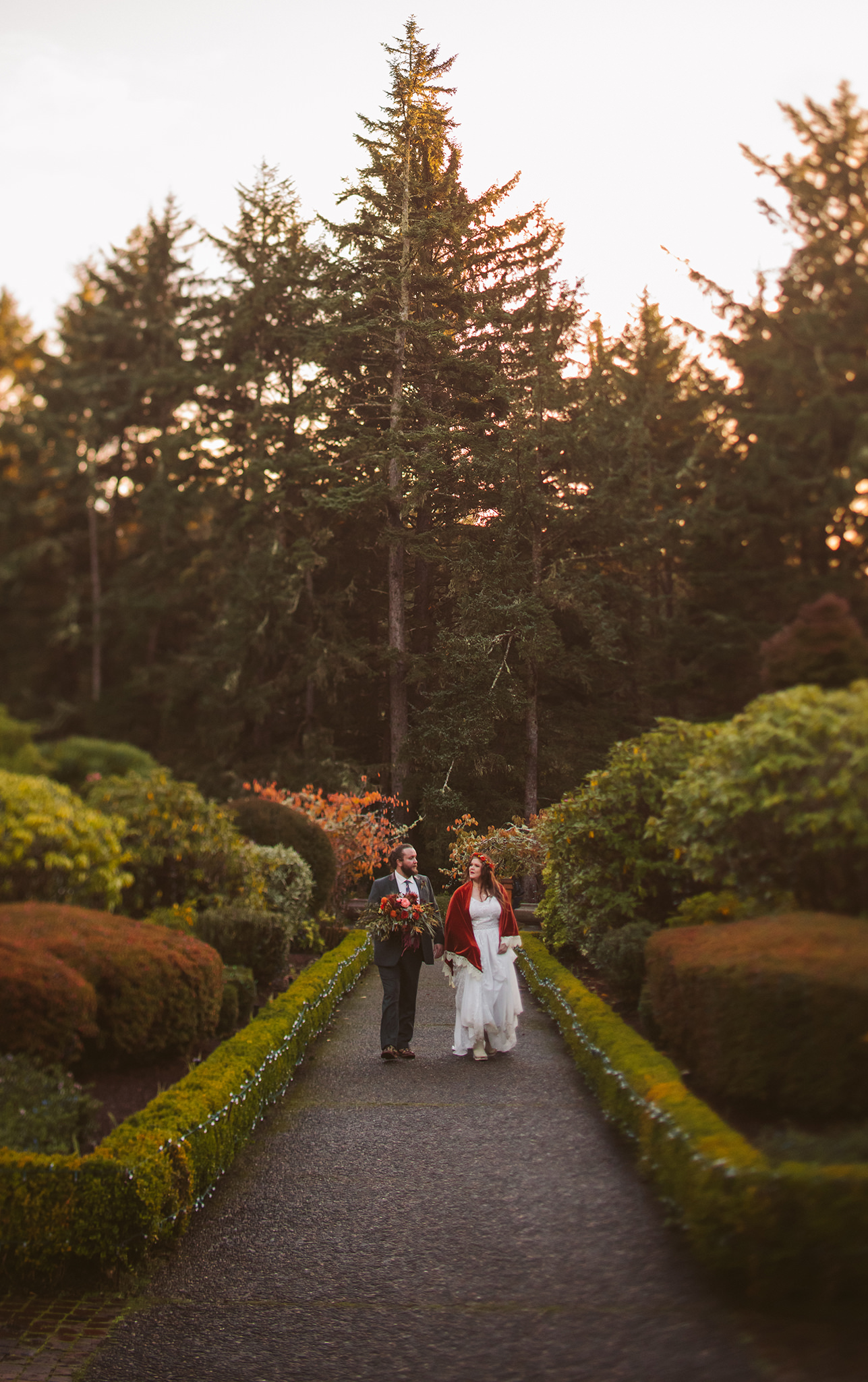 A wedding photo of a bride and groom walking through the gardens at Shore Acres state park